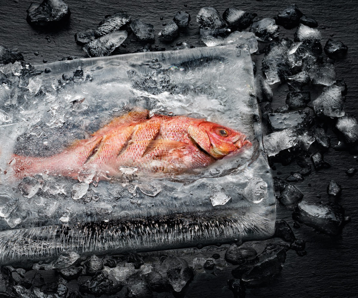 poisson cuit avec le four DIALOG de Miele